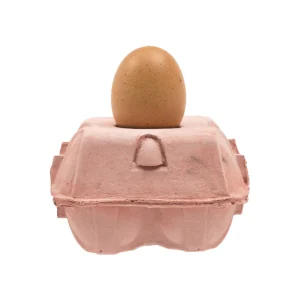 EggboxLamp│Tafellamp Eierdoos│Rose