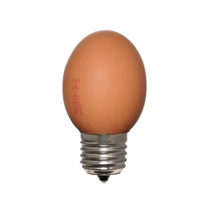 Egglamp Bruin│Lampje van echte Eieren