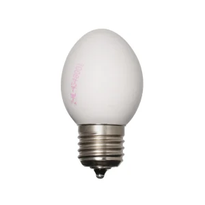 Egglamp Wit│Lampje van echte Eieren